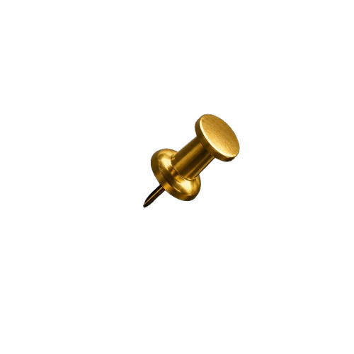 Pin